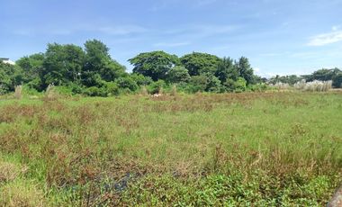 1.55 Has Agricultural Lot For Sale along Bacag Road, behind Wilcon Depot Villasis Pangasinan