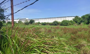1.55 Has Agricultural Lot For Sale along Bacag Road, behind Wilcon Depot Villasis Pangasinan