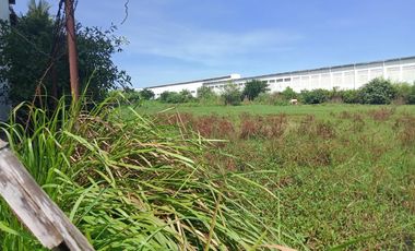 1.55 Has Agricultural Lot For Sale along Bacag Road, behind Wilcon Depot Villasis Pangasinan