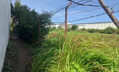 1.55 Has Agricultural Lot For Sale along Bacag Road, behind Wilcon Depot Villasis Pangasinan