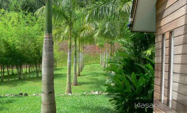 Luxury 5-Bedroom Villa on Impressive 25 Rai Oceanfront Plot