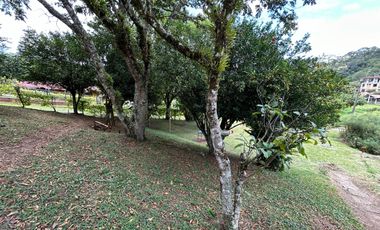 CASA CAMPESTRE MONIQUIRA VENTA