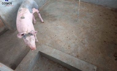 Propiedad de venta en Urcuqui sector Tumbabiro, 5,5 hectáreas