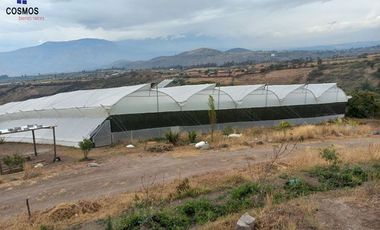 Propiedad de venta en Urcuqui sector Tumbabiro, 5,5 hectáreas