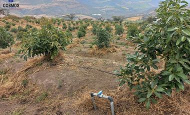 Propiedad de venta en Urcuqui sector Tumbabiro, 5,5 hectáreas