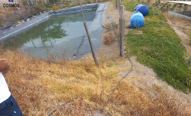 Propiedad de venta en Urcuqui sector Tumbabiro, 5,5 hectáreas