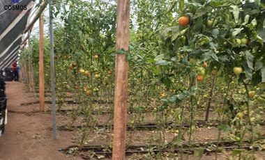 Propiedad de venta en Urcuqui sector Tumbabiro, 5,5 hectáreas