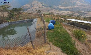 Propiedad de venta en Urcuqui sector Tumbabiro, 5,5 hectáreas