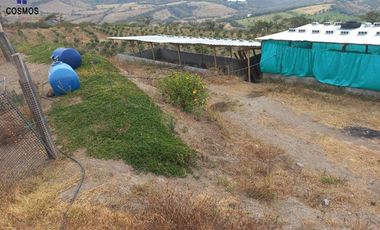 Propiedad de venta en Urcuqui sector Tumbabiro, 5,5 hectáreas