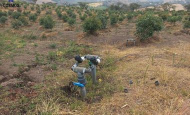 Propiedad de venta en Urcuqui sector Tumbabiro, 5,5 hectáreas