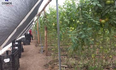 Propiedad de venta en Urcuqui sector Tumbabiro, 5,5 hectáreas