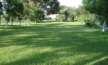 Quinta en Campo Nuevo, Emiliano Zapata, Morelos