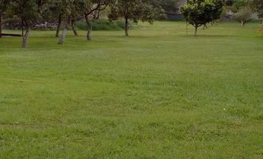 Quinta en Campo Nuevo, Emiliano Zapata, Morelos