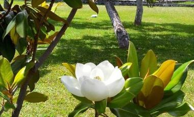 Quinta en Campo Nuevo, Emiliano Zapata, Morelos