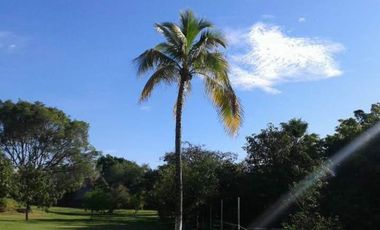 Quinta en Campo Nuevo, Emiliano Zapata, Morelos