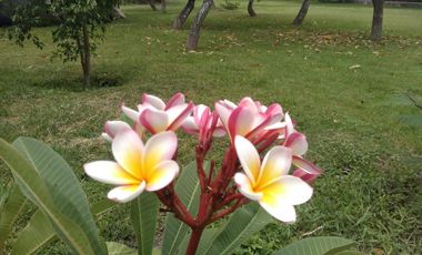 Quinta en Campo Nuevo, Emiliano Zapata, Morelos