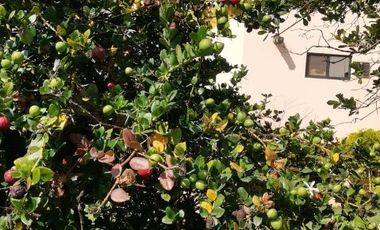 SE VENDE CASA COMO TERRENO EN FRACCIONAMIENTO JARDINES DE AHUATEPEC