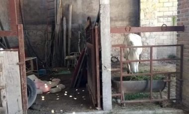Se vende rancho ubicado en jojutla