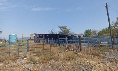 Rancho en 10 de Mayo (La Matanza), Tlaltizapán de Zapata, Morelos