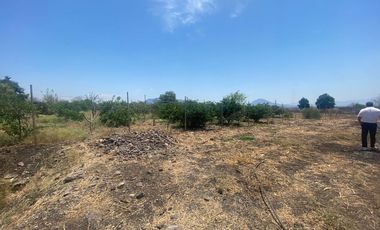 Rancho en 10 de Mayo (La Matanza), Tlaltizapán de Zapata, Morelos
