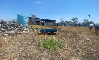 Rancho en 10 de Mayo (La Matanza), Tlaltizapán de Zapata, Morelos