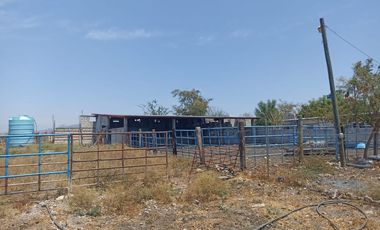 Rancho en 10 de Mayo (La Matanza), Tlaltizapán de Zapata, Morelos