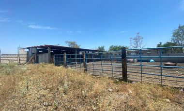 Rancho en 10 de Mayo (La Matanza), Tlaltizapán de Zapata, Morelos