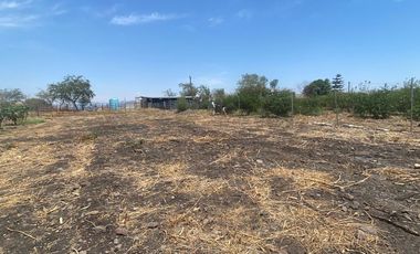 Rancho en 10 de Mayo (La Matanza), Tlaltizapán de Zapata, Morelos