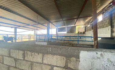 Rancho en 10 de Mayo (La Matanza), Tlaltizapán de Zapata, Morelos
