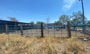 Rancho en 10 de Mayo (La Matanza), Tlaltizapán de Zapata, Morelos
