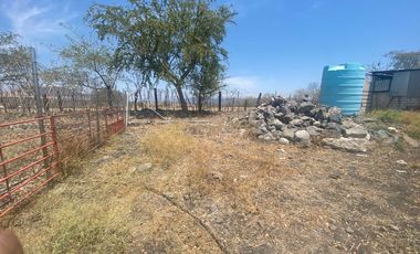 Rancho en 10 de Mayo (La Matanza), Tlaltizapán de Zapata, Morelos