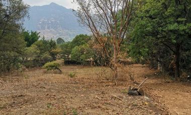 Terreno en Tepoztlán Centro, Tepoztlán, Morelos