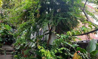 SE VENDE CASA DE UN SOLO NIVEL CON 3 BUNGALOWS