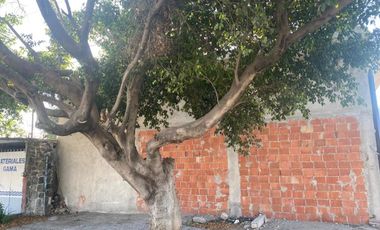 Terreno con local comercial