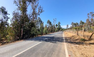 PARCELAS CON CREDITO DIRECTO EN VICHUQUEN