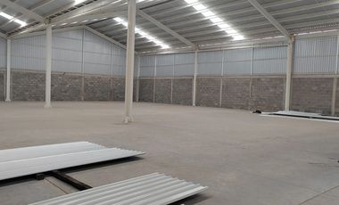 NAVES INDUSTRIALES EN RENTA A SALIDA SALAMANCA DESDE $75,000