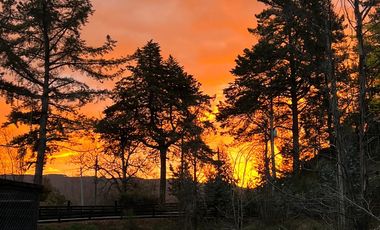 Se vende parcela de 2,3 hc ubicada en el sector de Santo Domingo, salida sur de Valdivia.