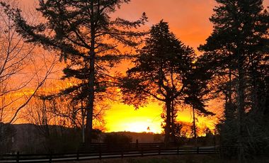 Se vende parcela de 2,3 hc ubicada en el sector de Santo Domingo, salida sur de Valdivia.
