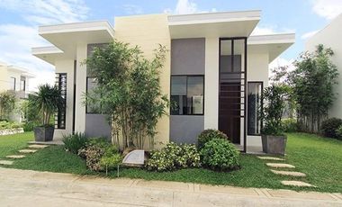Amaia Scapes Bauan