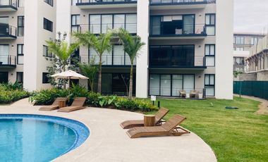 Departamento en Renta en el nuevo desarrollo ALTEA a Estrenar