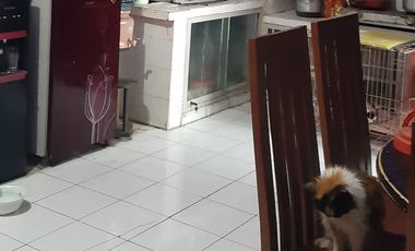 Rumah  Pongangan Indah (PPI) Manyar Gresik berdampingan dengan GKB