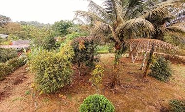 VENTA DE TERRENO, SECTOR PEDRO VICENTE MALDONADO, DENTRO DE URBANIZACIÒN PRIVADA, NATURALEZA