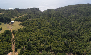 Venta de 11,68 Ha en Corral, sector Quitaluto