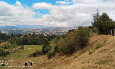 VENDO LOTE CAMPESTRE COMBITA BOYACA