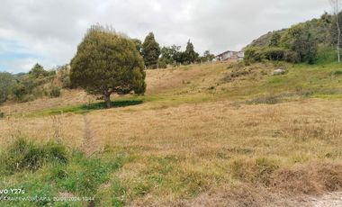 VENDO LOTE CAMPESTRE COMBITA BOYACA