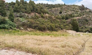 VENDO LOTE CAMPESTRE COMBITA BOYACA