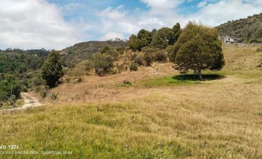 VENDO LOTE CAMPESTRE COMBITA BOYACA
