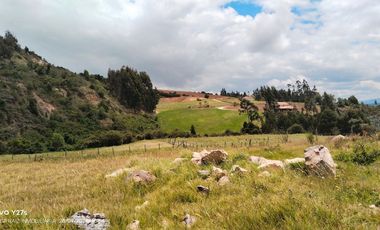 VENDO LOTE CAMPESTRE COMBITA BOYACA
