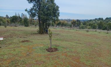 2023/310   HERMOSAS PARCELA SECTOR LIBUENO PELARCO
