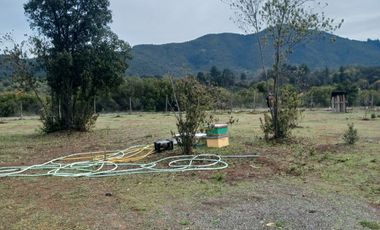 2023/310   HERMOSAS PARCELA SECTOR LIBUENO PELARCO